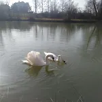 Domaine De Lardoisiere