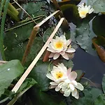 Domaine De Lardoisiere 3*