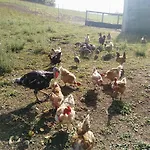 Domaine De Lardoisiere Гостевой дом Chateau-Salins