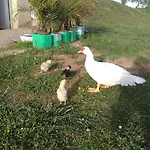 Domaine De Lardoisiere