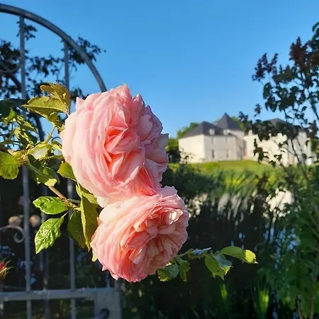 Domaine De Lardoisiere Couette-café 3*