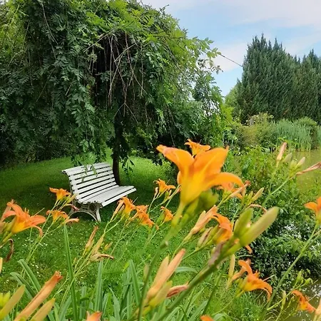Гостевой дом Domaine De Lardoisiere Chateau-Salins