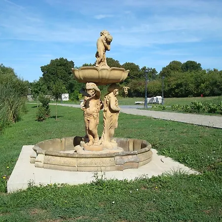 בית הארחה Domaine De Lardoisiere Château-Salins