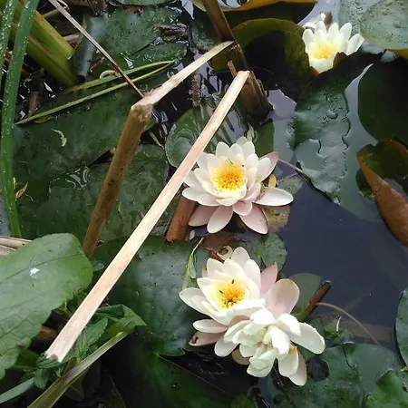 Domaine De Lardoisiere 3*