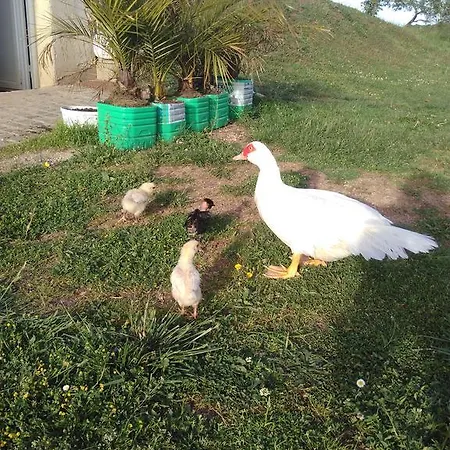 Domaine De Lardoisiere